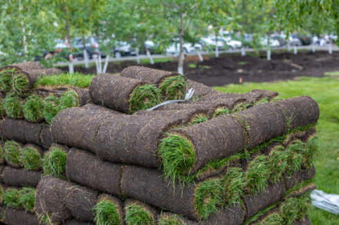 pallets of fresh sod