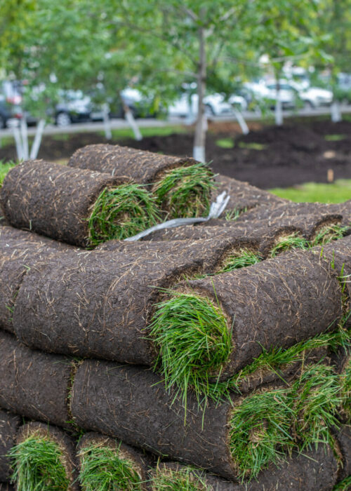 pallets of fresh sod