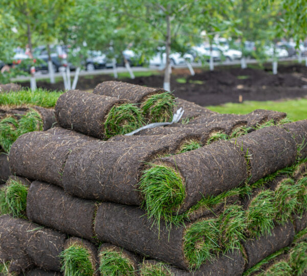 pallets of fresh sod