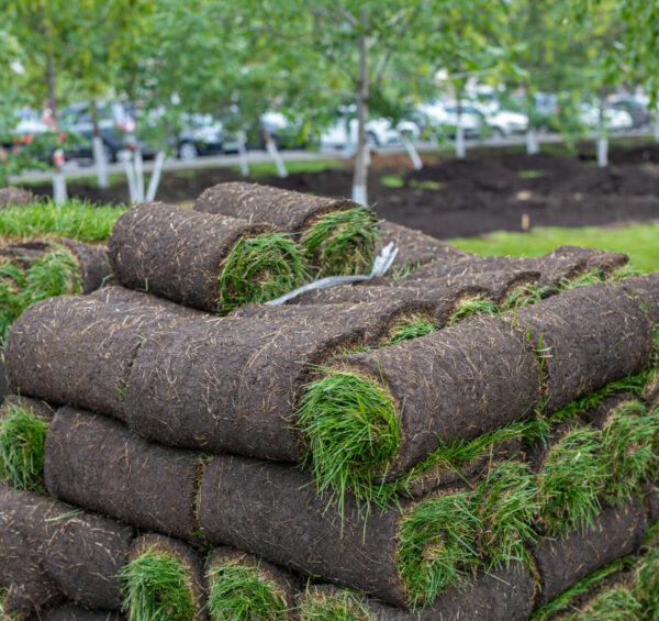 pallets of fresh sod