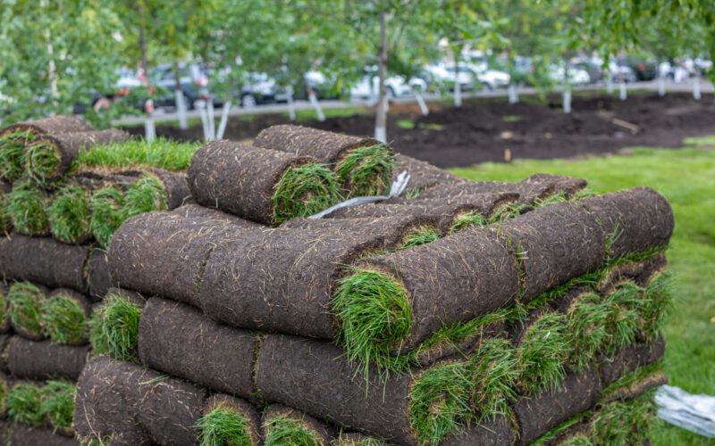 pallets of fresh sod
