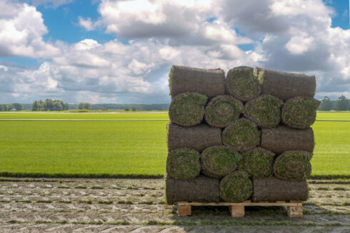 pallet of commercial sod