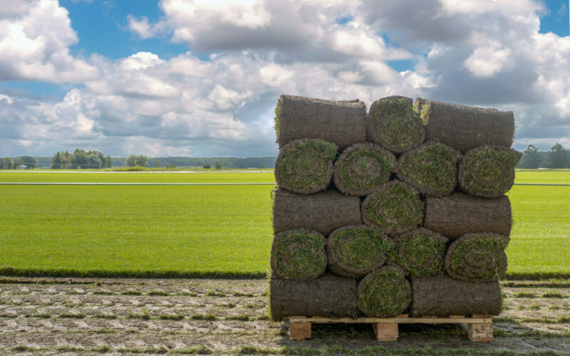 pallet of commercial sod